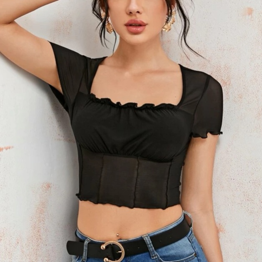 Mesh Frill Sheer black crop Top